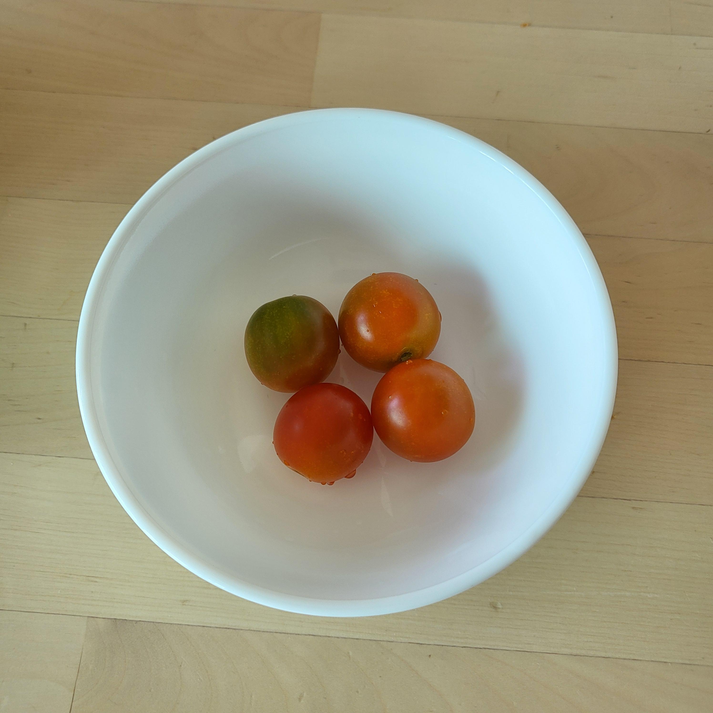 24년 상반기 베란다 텃밭 방울토마토 기록 5